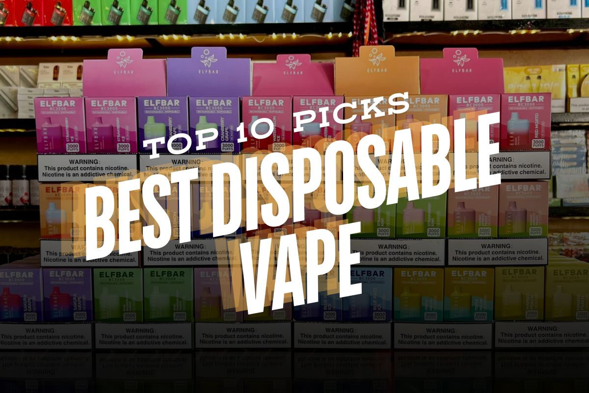 Best Disposable Vape Brands: Top 10 Picks (2024 Updates List)