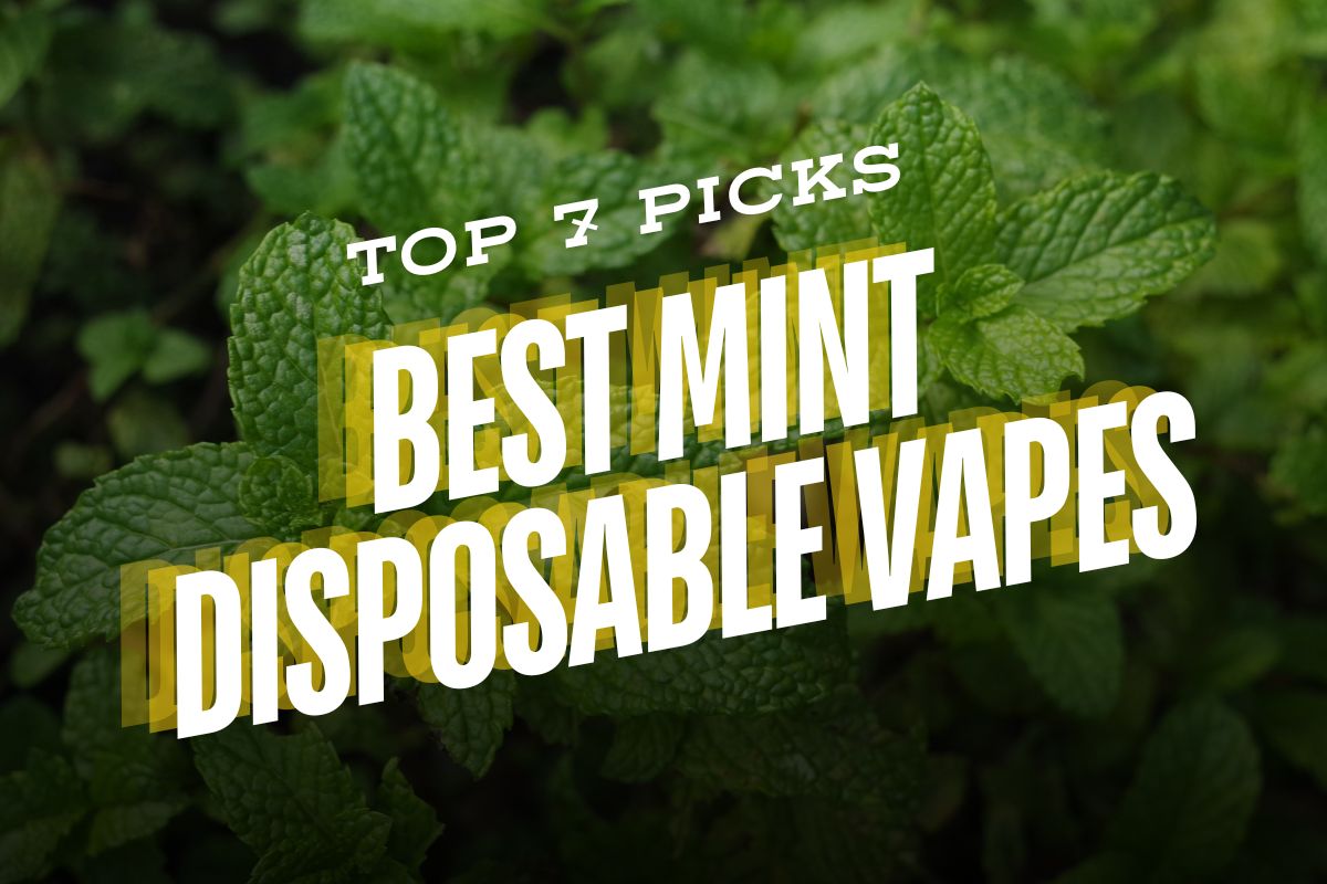 Best Mint Disposable Vape