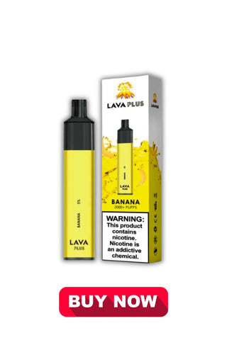 Lava Plus Disposable