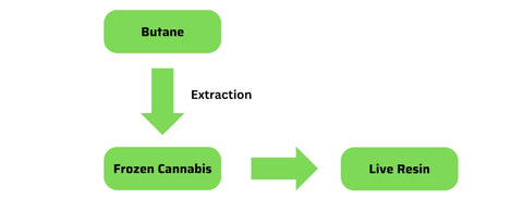 Live resin extraction process
